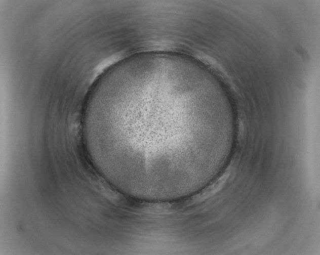 X0000113921210200910151432