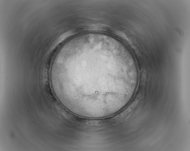 X0000113921211200910151432