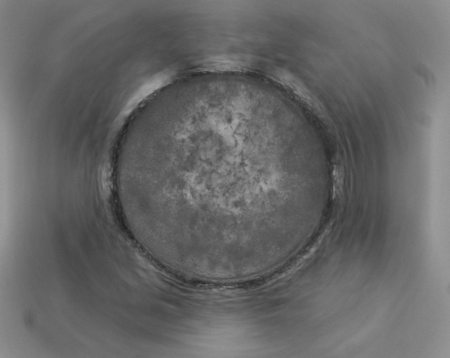 X0000113921213200910151432