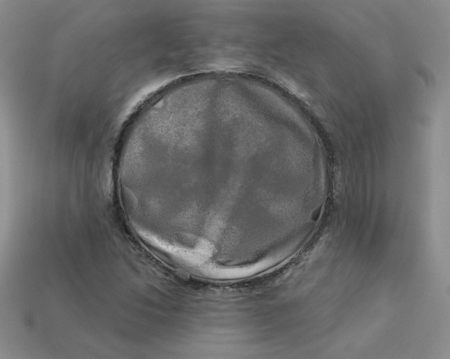 X0000113921214200910151432