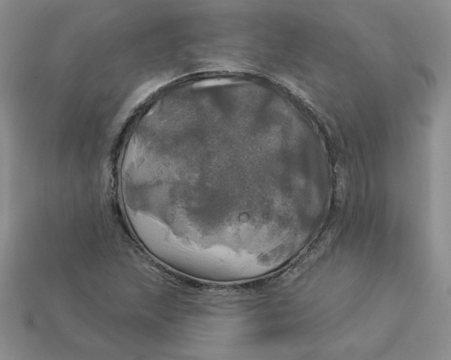 X0000113921215200910151432