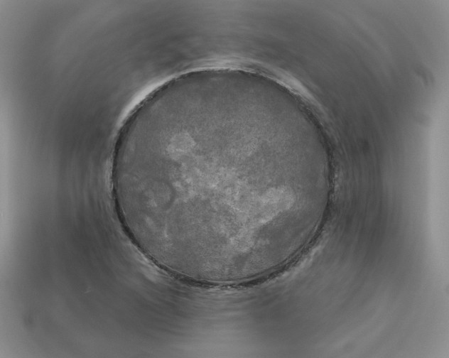 X0000113921216200910151432