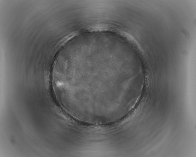 X0000113921217200910151432