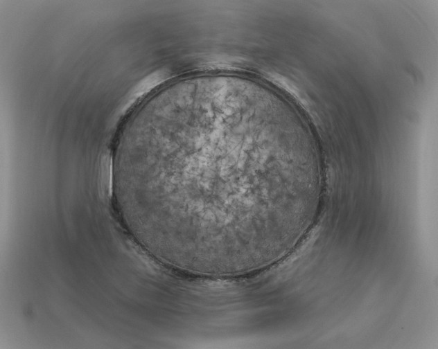 X0000113921219200910151432