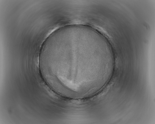 X0000113921220200910151432