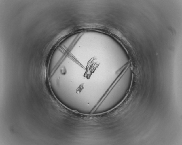 X0000113921221200910151432