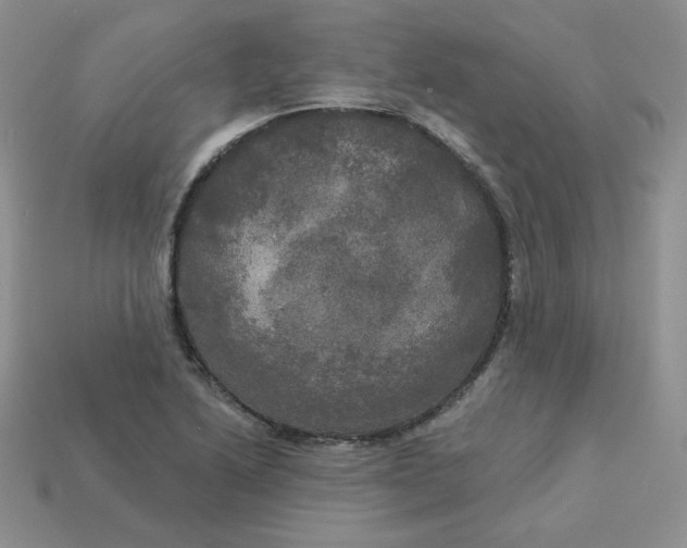X0000113921222200910151432