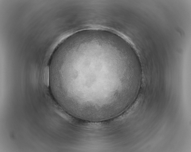 X0000113921223200910151432