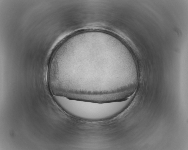X0000113921224200910151432