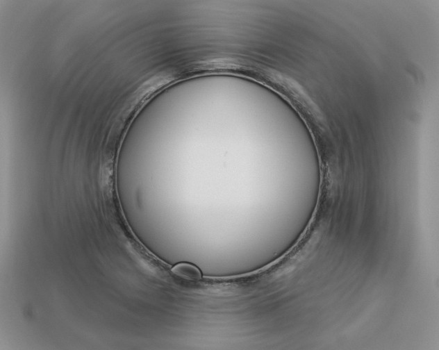 X0000113921225200910151432