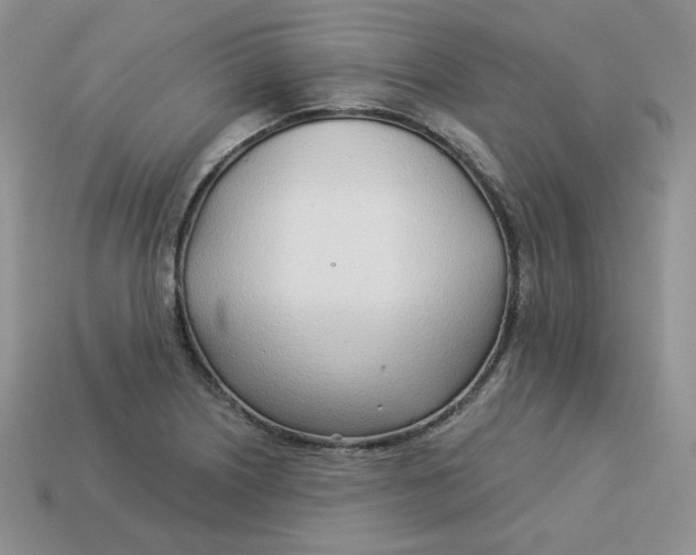 X0000113921226200910151432