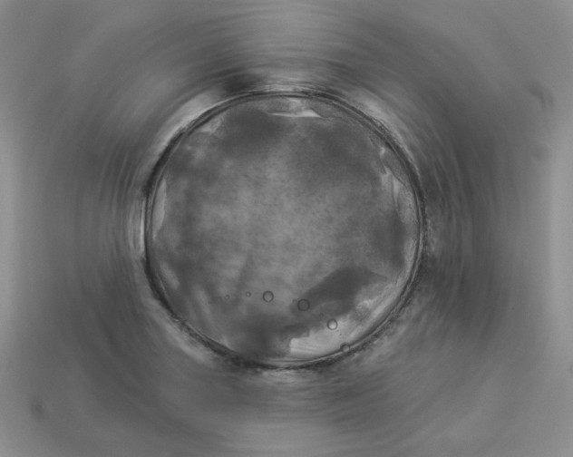 X0000113921227200910151432