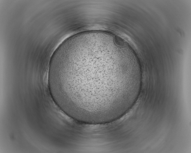 X0000113921228200910151432