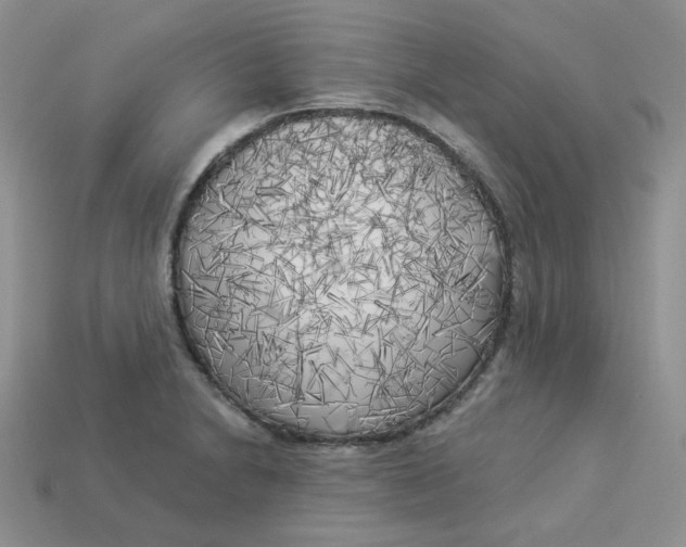 X0000113921230200910151432