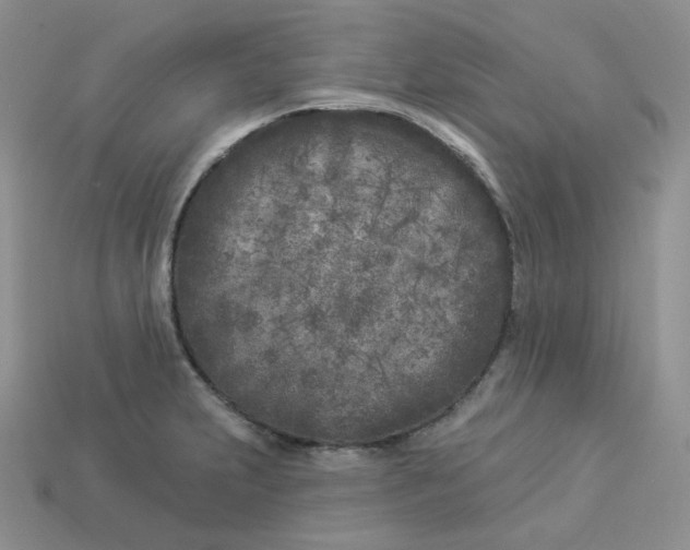 X0000113921231200910151432