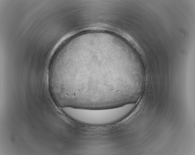 X0000113921232200910151432