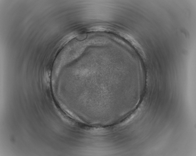 X0000113921233200910151432