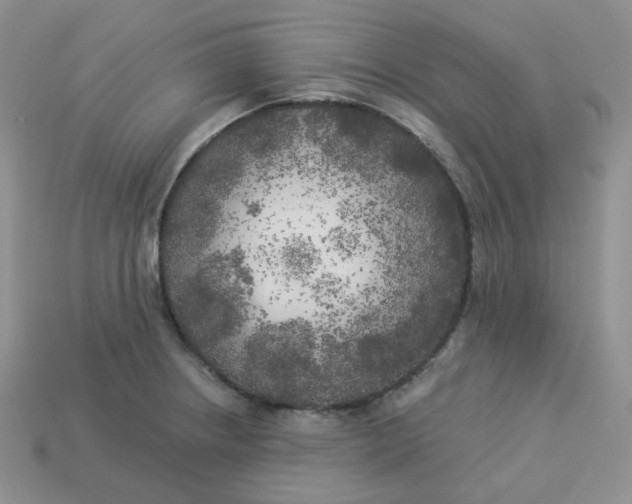 X0000113921234200910151432