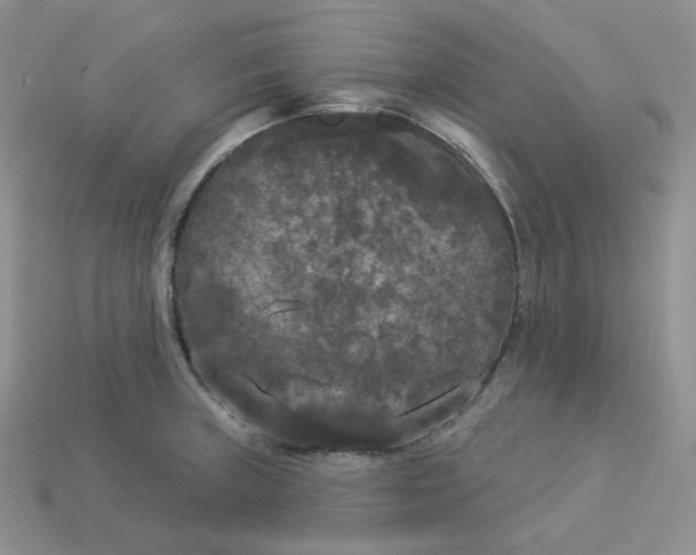 X0000113921235200910151432