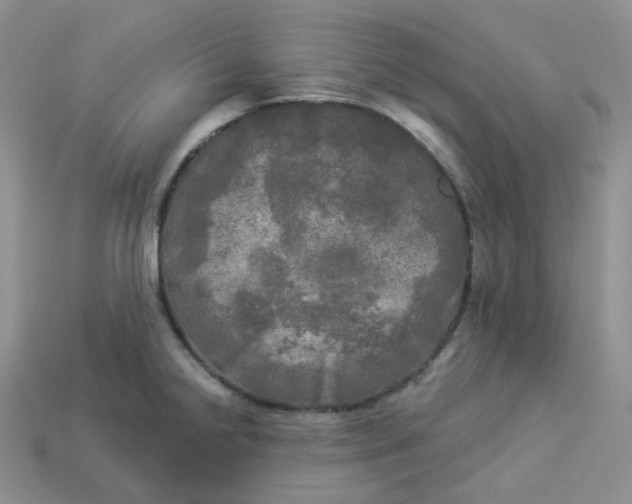 X0000113921238200910151432