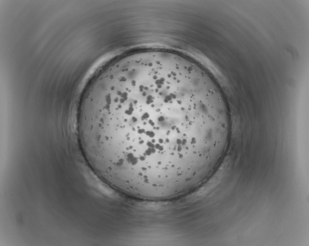 X0000113921240200910151432