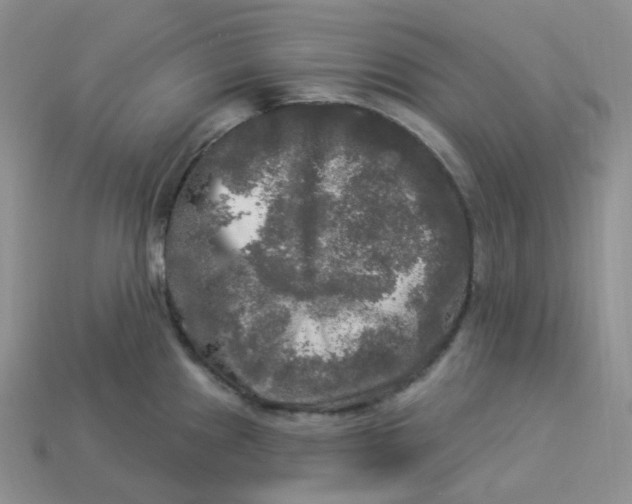 X0000113921241200910151432