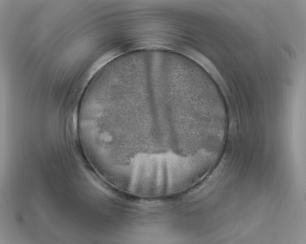 X0000113921242200910151432