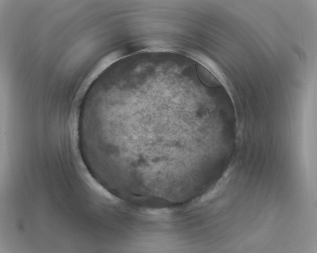 X0000113921243200910151432