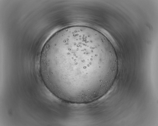 X0000113921244200910151432