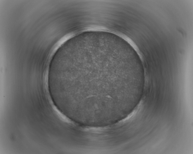 X0000113921245200910151432