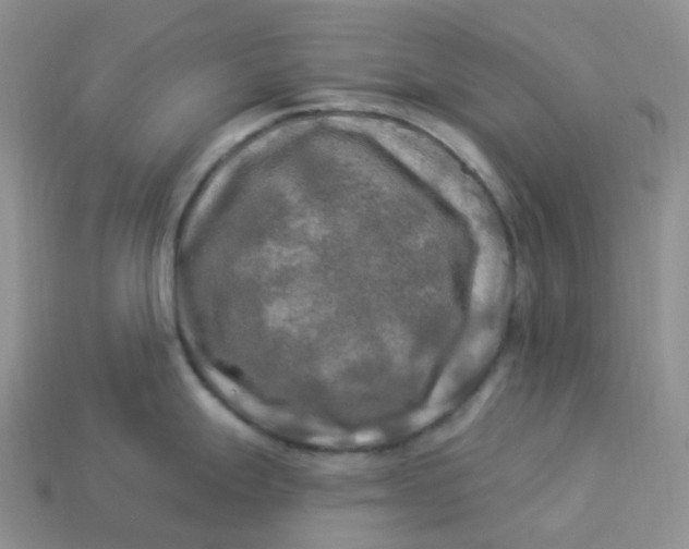 X0000113921247200910151432