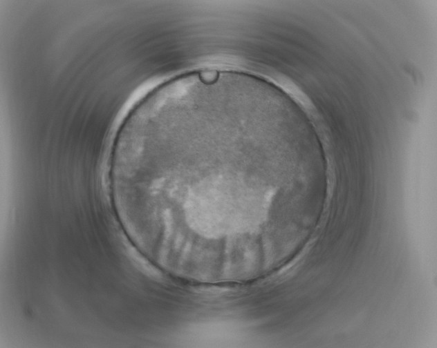X0000113921248200910151432