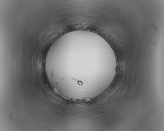 X0000113921250200910151432