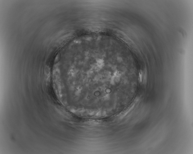 X0000113921251200910151432