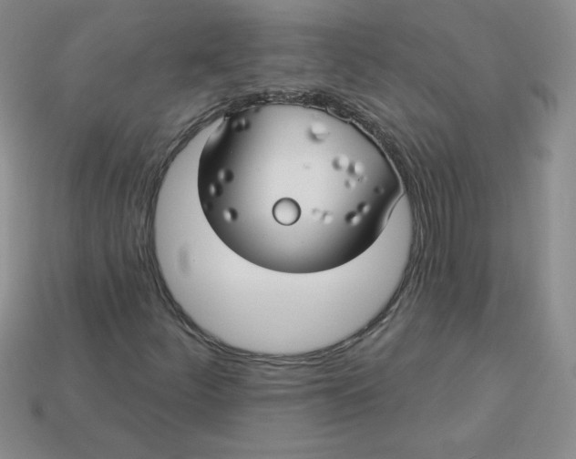 X0000113921252200910151432