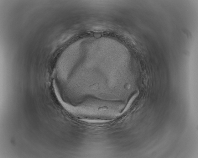 X0000113921253200910151432
