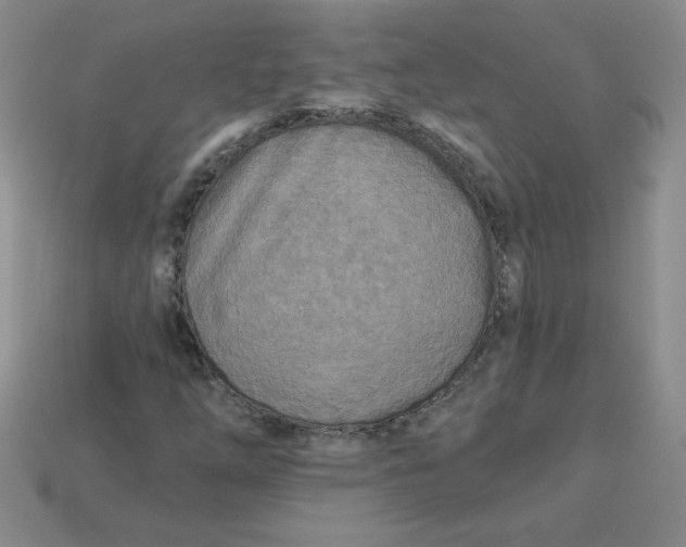 X0000113921254200910151432