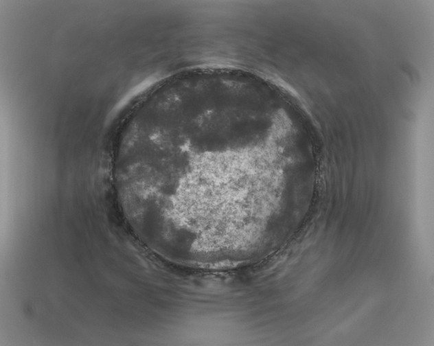 X0000113921255200910151432