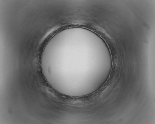 X0000113921256200910151432