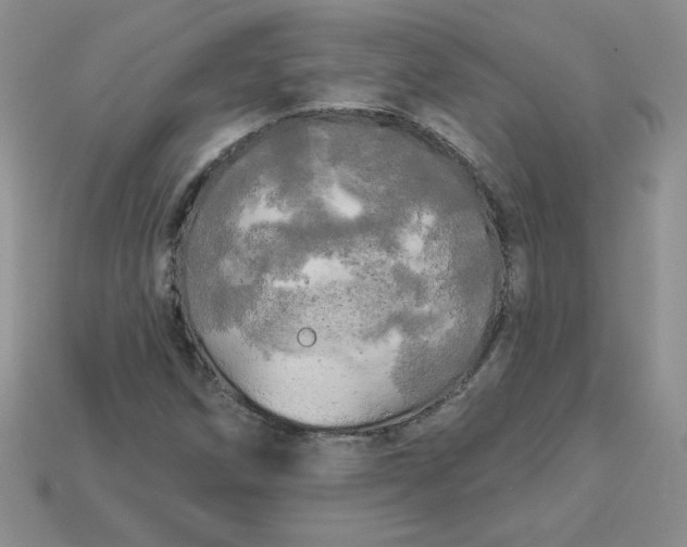 X0000113921258200910151432