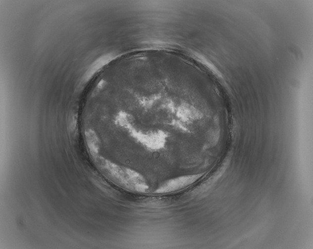 X0000113921259200910151432