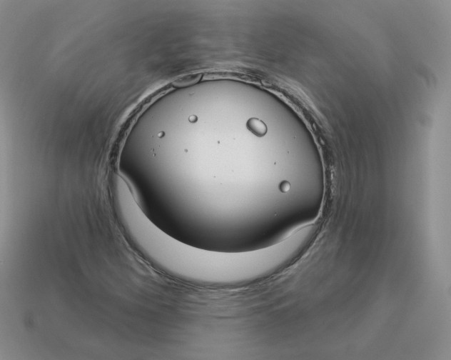 X0000113921260200910151432