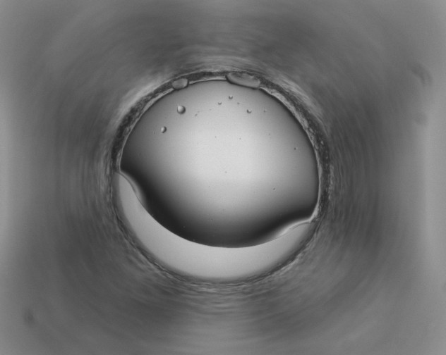 X0000113921261200910151432