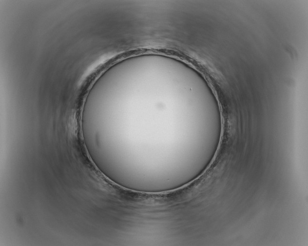 X0000113921262200910151432