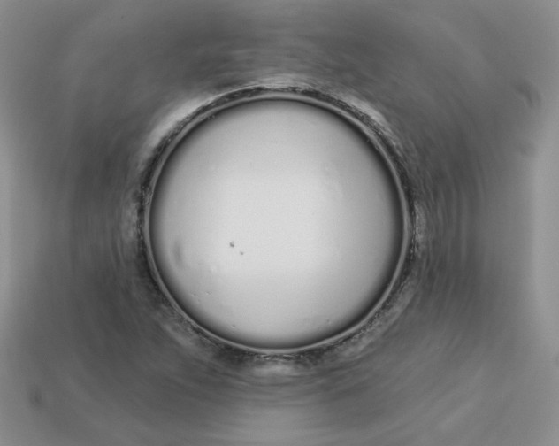 X0000113921263200910151432