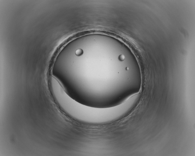X0000113921264200910151432