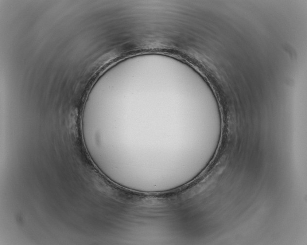 X0000113921265200910151432