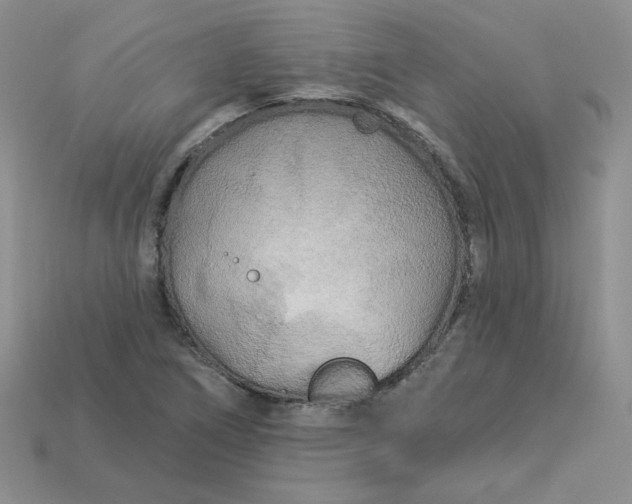 X0000113921266200910151432