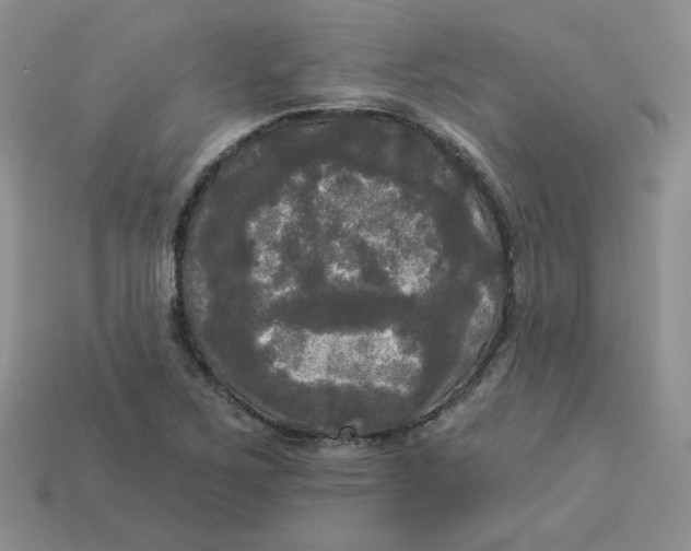 X0000113921267200910151432