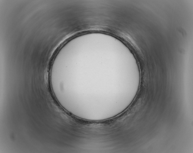 X0000113921268200910151432